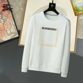 Picture of Burberry Sweatshirts _SKUBurberryM-3XL25tn12724829